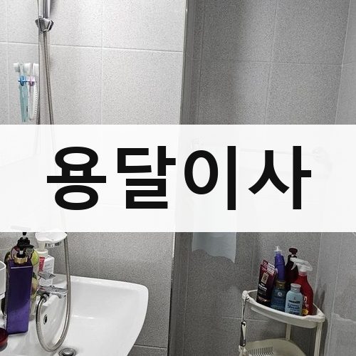 서울 강남권 용달이사 포장이사