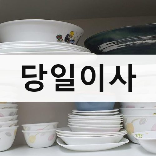 서울 강남권 당일이사 포장이사